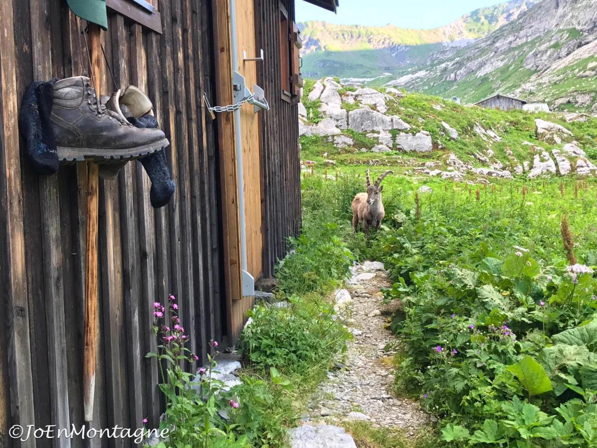 Village Vacances Le Salvagny Sixt 외부 사진